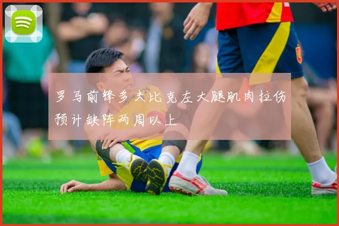 罗马前锋多夫比克左大腿肌肉拉伤预计缺阵两周以上