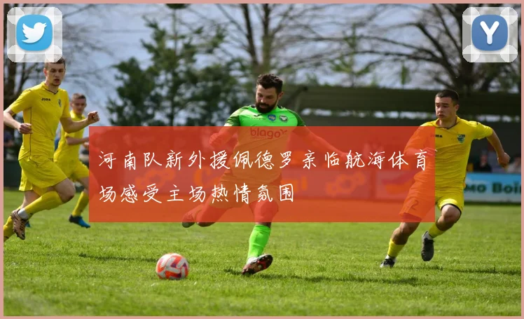 河南队新外援佩德罗亲临航海体育场感受主场热情氛围