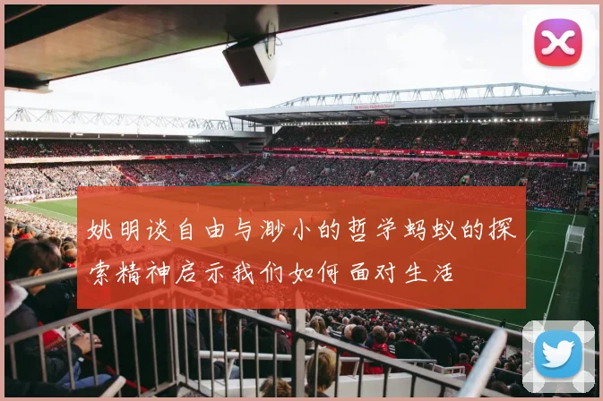 姚明谈自由与渺小的哲学蚂蚁的探索精神启示我们如何面对生活