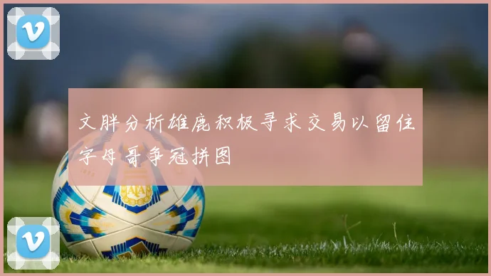 文胖分析雄鹿积极寻求交易以留住字母哥争冠拼图